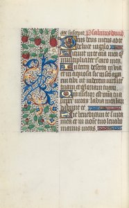 كتاب ساعات استخدام روان: fol. 137 فولت ، ج. 1470. بواسطة سيد لاتيني جنيف