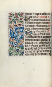 كتاب ساعات استخدام روان: fol. 49 فولت ، ج. 1470. بواسطة سيد لاتيني جنيف