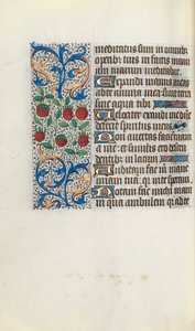 كتاب ساعات استخدام روان: fol. 91 فولت ، ج. 1470. بواسطة سيد لاتيني جنيف
