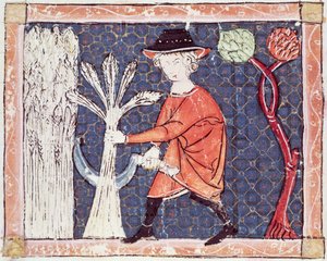 Fol.58v يوليو: الحصاد