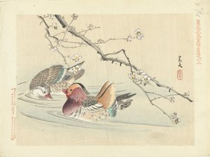 بطتان اسكتشات الزهور والطيور لكيبون - الجزء الأول (عنوان المسلسل) قلم Keibun Kacho Gafu Zen (عنوان السلسلة على الكائن) بواسطة ماتسومورا كيبون