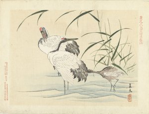 اثنين من الرافعات مع الشباب اسكتشات الزهور والطيور لكيبون - الجزء الثالث (عنوان المسلسل) Keibun Kacho Gafu Kohen (عنوان المسلسل على الكائن) بواسطة ماتسومورا كيبون
