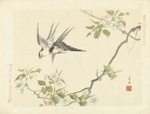 اثنان يبتلع اسكتشات الزهور والطيور لكيبون - الجزء الأول (عنوان المسلسل) قلم Keibun Kacho Gafu Zen (عنوان السلسلة على الكائن) بواسطة ماتسومورا كيبون