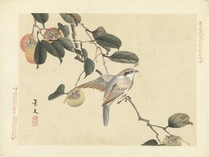 الطيور والبرسيمون اسكتشات الزهور والطيور لكيبون - الجزء الأول (عنوان المسلسل) قلم Keibun Kacho Gafu Zen (عنوان السلسلة على الكائن) بواسطة ماتسومورا كيبون