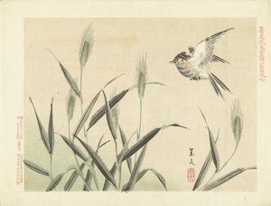 طائر يطير بين الأعشاب اسكتشات الزهور والطيور لكيبون - الجزء الأول (عنوان المسلسل) قلم Keibun Kacho Gafu Zen (عنوان السلسلة على الكائن) بواسطة ماتسومورا كيبون