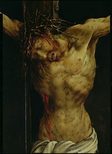 الصلب من Isenheim Altarpiece ، تفاصيل Christs torso ، c.1512-16 زيت على تفاصيل اللوحة