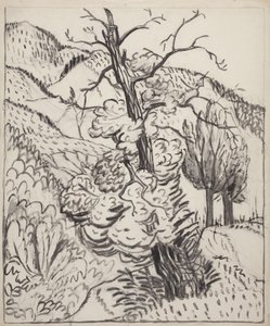 شجرة على سفح جبل، حوالي عام 1930 (فرشاة وحبر وفحم على ورق نسج أبيض مصفر) بواسطة مود هانت سكواير