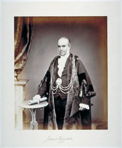 جيمس فيجينز ، عمدة لندن ، في زي شجاع ، c1865