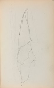 كراسة الرسم الإيطالية ، صفحة الشراع 70 ، 1898-1899. بواسطة موريس برازيل برندرغاست