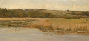 Hill and Marshland ، أواخر القرن التاسع عشر وأوائل القرن العشرين.