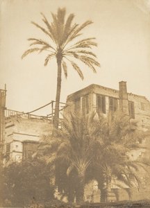 نخيل التمر و Maison du Quartier Franc ، القاهرة ، ديسمبر ١٨٤٩ - يناير ١٨٥٠. بواسطة ماكسيم دو كامب