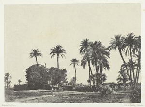 قرية الحمامة ، صعيد مصر ، 184951 ، طبعت 1852. بواسطة ماكسيم دو كامب