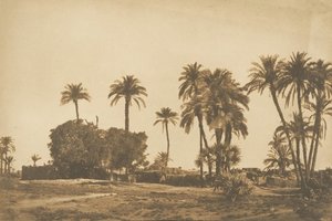 منظر لقرية حمارنة ، بالقرب من الضفة اليمنى لدندرة ، 1849-50.