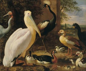  بواسطة Melchior d'Hondecoeter