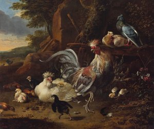  بواسطة Melchior d'Hondecoeter
