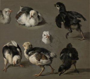 سبع فراخ بواسطة Melchior d'Hondecoeter