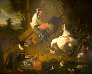 الديك مع الدجاجة وثلاث بط بواسطة Melchior de (استوديو) Hondecoeter
