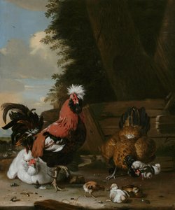 كوكب بانتام مع الدجاج والدجاج في مزرعة بواسطة Melchior de Hondecoeter