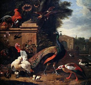 طاووس وصقر والعديد من الطيور والبط في حديقة (زيت على قماش) بواسطة Melchior de Hondecoeter