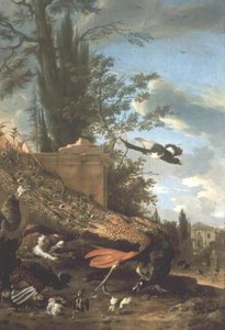 طاووس و ذليل في حديقة فيلا بواسطة Melchior de Hondecoeter