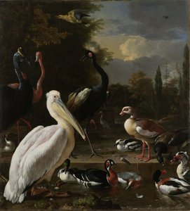 طائر البجع والطيور الأخرى بالقرب من بركة ، المعروفة باسم "الريشة العائمة" ، c.1680