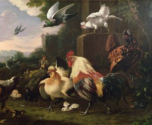 كوكريل وطيور أخرى في منظر طبيعي بواسطة Melchior de Hondecoeter