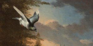 التفاصيل من ميناجيري ، 1680 (زيت على قماش) بواسطة Melchior de Hondecoeter