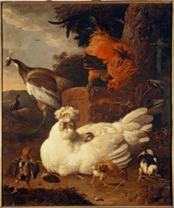 M. de Hondecoeter ، الدجاجة الأم مع الدجاج بواسطة Melchior de Hondecoeter