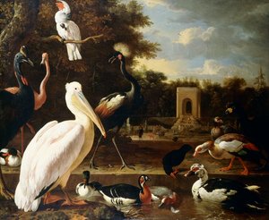 أنواع مختلفة من الطيور في بركة في متنزه ، بواسطة Melchior de Hondecoeter