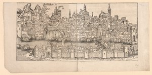 نورنبرغ كرونيكل: منظر طبوغرافي لباسل ، سويسرا ، 1493.