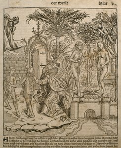 آدم وحواء ، رسم توضيحي من "Liber Chronicarum" بقلم هارتمان شيدل (1440-1514) نشر في نورمبرغ ، 1493