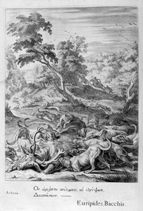 تحول Actaeon إلى أيل وأكله كلاب الصيد ، 1655 بواسطة ميشيل دي مارول