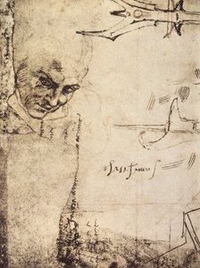 الوجه ، الرسم بواسطة Michelangelo ، خزانة الرسومات والمطبوعات ، معرض أوفيزي ، فلورنسا بواسطة مايكل أنجلو بوناروتي