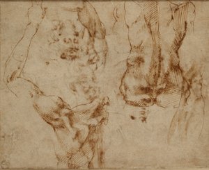 دراسات عارية ، 1490-1560 بواسطة مايكل أنجلو بوناروتي
