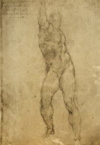 دراسة عارية ، رسم مايكل أنجلو. غاليري ديل أكاديميسيا ، البندقية بواسطة مايكل أنجلو بوناروتي