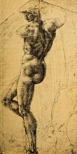 دراسة عارية ؛ رسم مايكل أنجلو. متحف اللوفر ، باريس