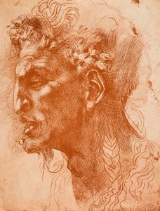 رأس الشمامات رسم مايكل أنجلو. اللوفر ، باريس بواسطة مايكل أنجلو بوناروتي