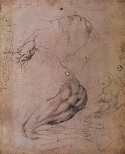 سقف كنيسة سيستين (1508-12): رسومات تخطيطية لشكل حواء من مشهد الخطيئة الأصلية (فحم على ورق) بواسطة مايكل أنجلو بوناروتي