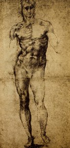 دراسة لعارية الذكور ، مايكل أنجلو بوناروتي (1475-1564) ، رسم ، باريس ، متحف اللوفر