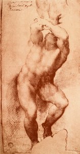 دراسة لإحدى شخصيات الحكم الأخير ، رسم مايكل أنجلو. غاليري ديل أكاديميسيا ، البندقية بواسطة مايكل أنجلو بوناروتي
