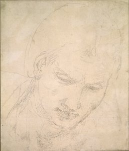 دراسة رأس ، ج 1490-1560 بواسطة مايكل أنجلو بوناروتي