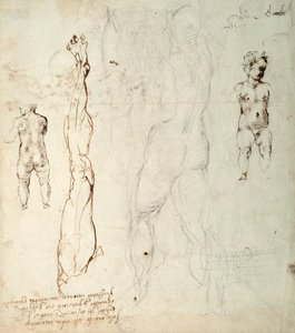 دراسة المسيح الطفل ورسم تشريحي مع ملاحظات (الطباشير الأسود والحبر البني على الورق) (بالعكس) بواسطة مايكل أنجلو بوناروتي