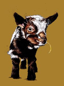 Baby Goat on Golden Yellow ، 2020 بواسطة مايك ديفيس