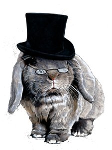 Humbug Bunny on White ، 2020 بواسطة مايك ديفيس