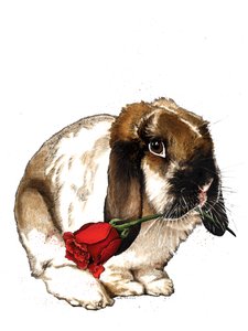 The Love Bunny on White ، 2020 بواسطة مايك ديفيس