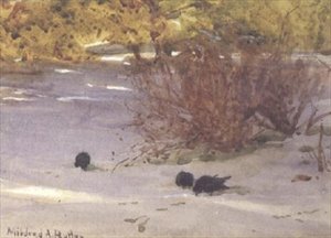 الظلال على الثلج (ألوان مائية على ورق)