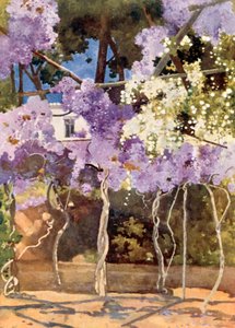 The Wistaria Bower ، القصر الملكي ، أثينا بواسطة ميما نيكسون