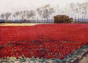 "Whose leaves with their crimson glow Hide the heart that lies burning and black below" (colour litho) بواسطة ميما نيكسون