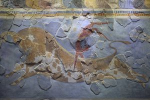 الفن المينوي. فريزو "الثور الوثب". مشهد قفزة الثور يصور كيف تم تنفيذ هذه الرياضة. تم العثور على اللوحة الجدارية على الجانب الشرقي من قصر كنوسوس بواسطة مينوان