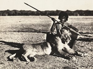 "بناء إمبراطورية" في العصر الفاشي: مثال لأسد ، 09/05/1936 (b / w photo) بواسطة موديستينو بالدينيتي
